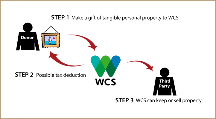 Tangible Personal Property Diagram. Description of image is listed below.
