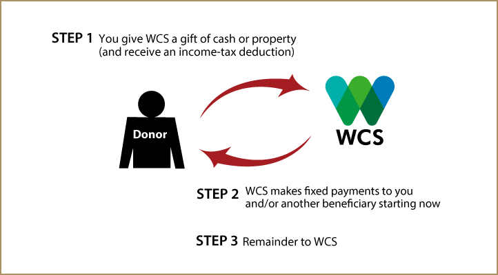 Immediate-Payment Charitable Gift Annuity Diagram. Description of image is listed below.