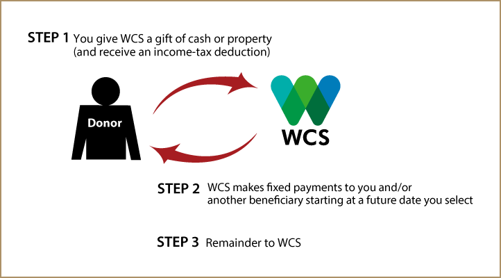 Deferred-Payment Charitable Gift Annuity Diagram. Description of image is listed below.