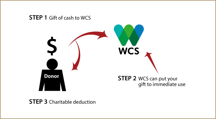Cash, Checks, and Credit Cards Diagram. Description of image is listed below.